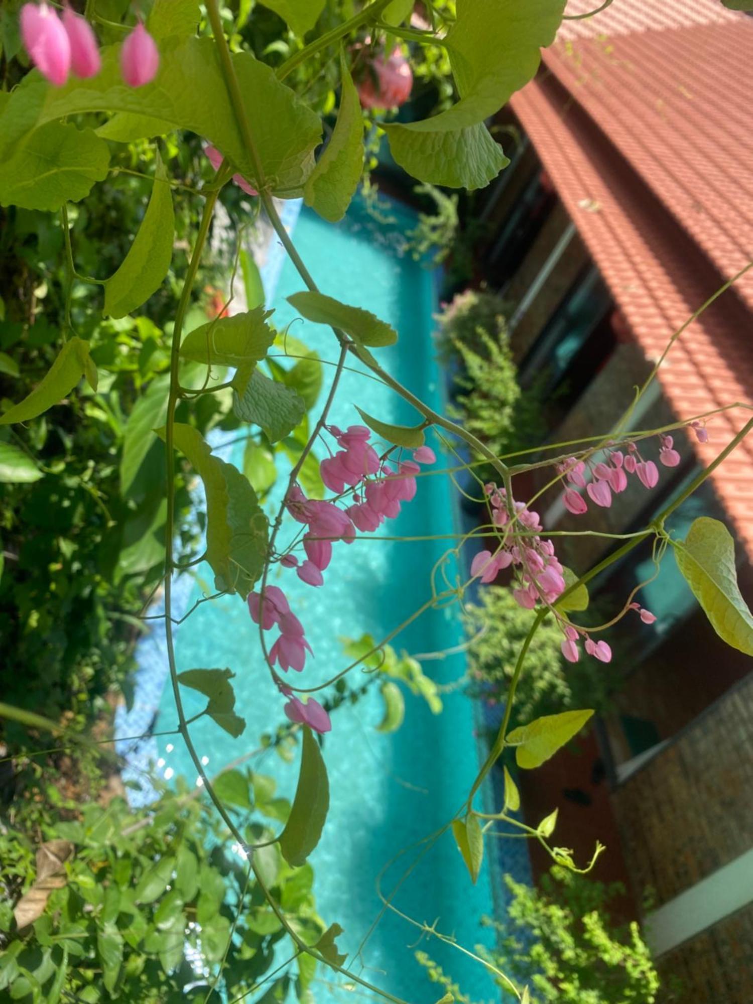 Sunshine Villa Thuy Bieu Hue Zewnętrze zdjęcie