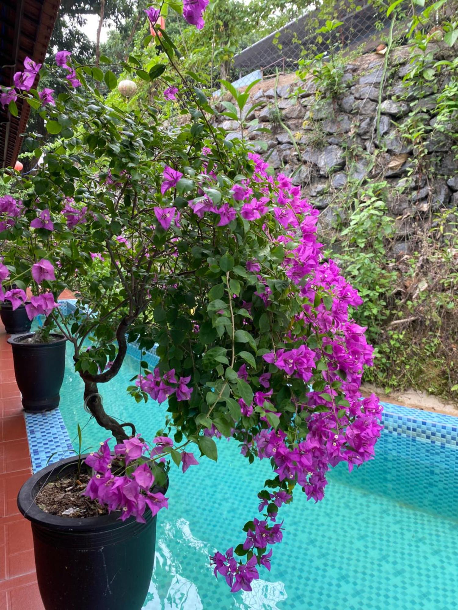 Sunshine Villa Thuy Bieu Hue Zewnętrze zdjęcie